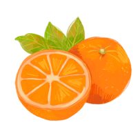TRY-ORAGNE TRY-ORAGNE